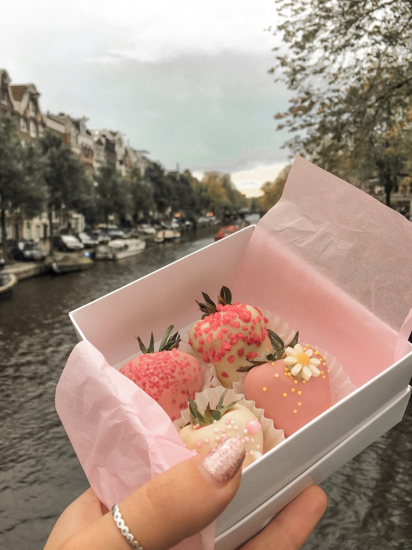 Chocolate-covered strawberries from Polaberry in Amsterdam