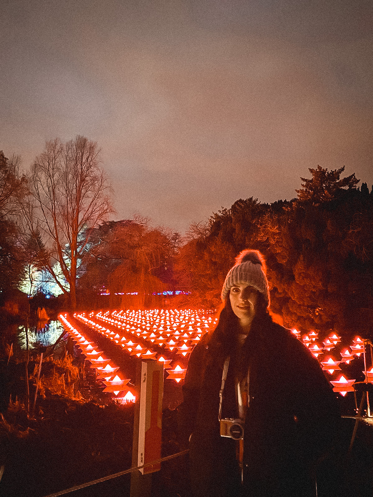 The Royal Botanical christmas lights in Edinburgh